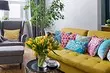 Engadir cores: como entrar nun sofá brillante no interior