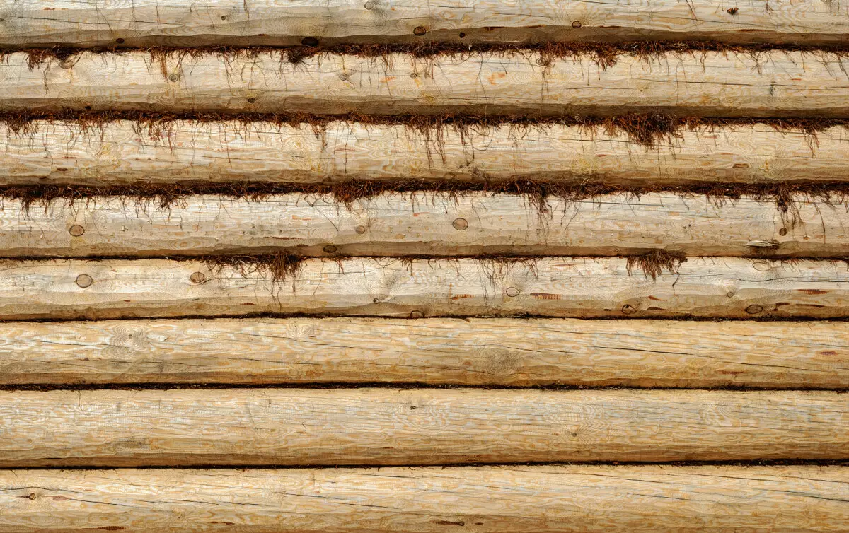 Caracteristicile decorării interioare a caselor din lemn