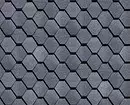 Paano Pumili ng Flexible Bitumen Tile. 11665_18