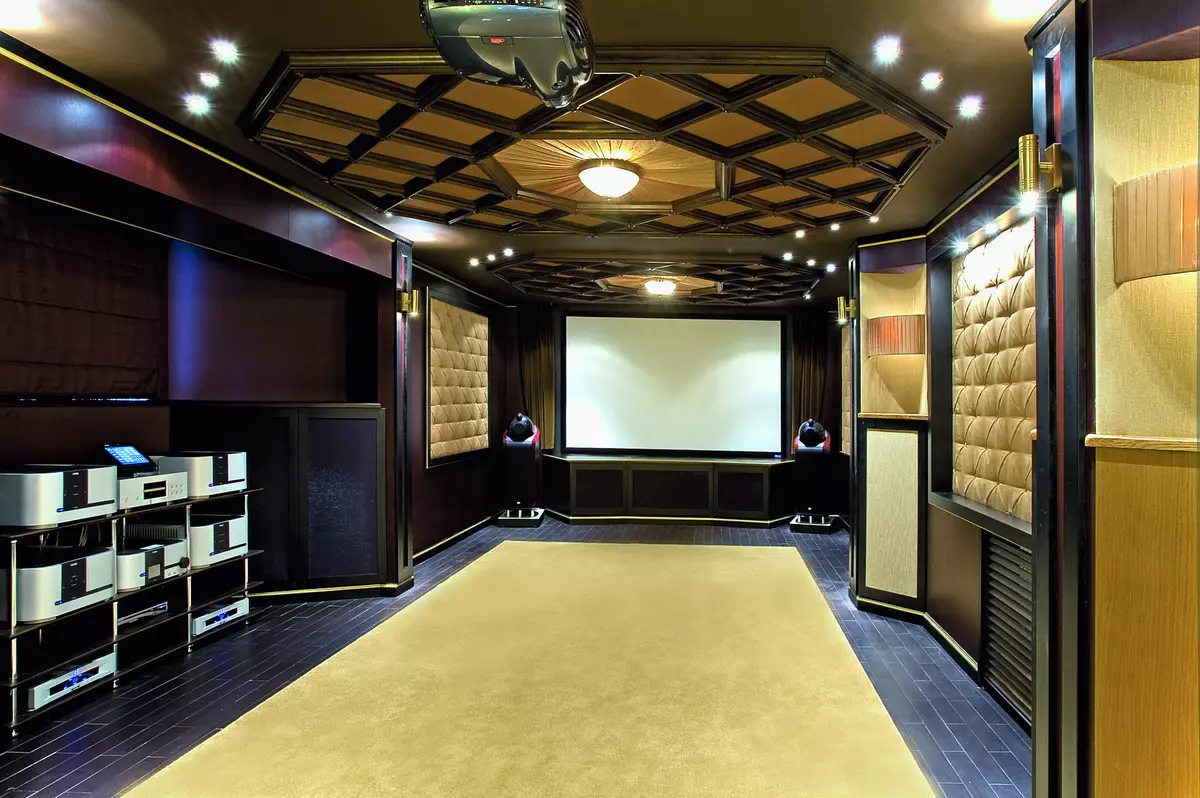 The whole thing in sound: Acoustic panels for home theater