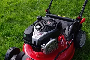 Gażolina lawn mower: għażla minn parametri 11749_1