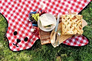 An der Natur mat Komfort: Picknick Accessoiren 11795_1