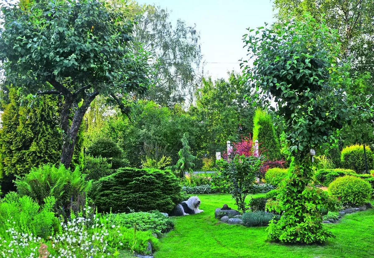 Privat trädgård nära St Petersburg 11889_16
