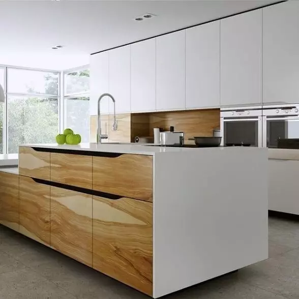 Quais fachadas para a cozinha são melhores: visão geral 10 materiais populares 11904_47