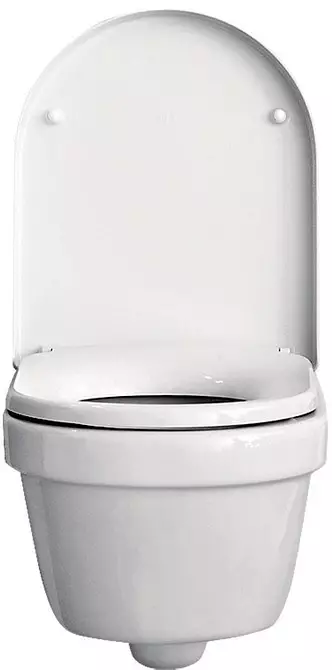 शौचालय कैसे चुनें: मुख्य मानदंड 12007_25