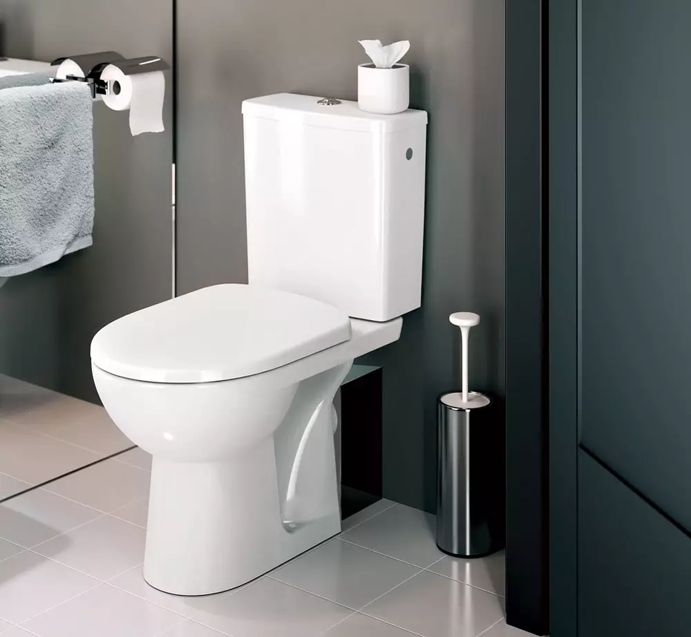 Како да изберете тоалет: Главни критериуми