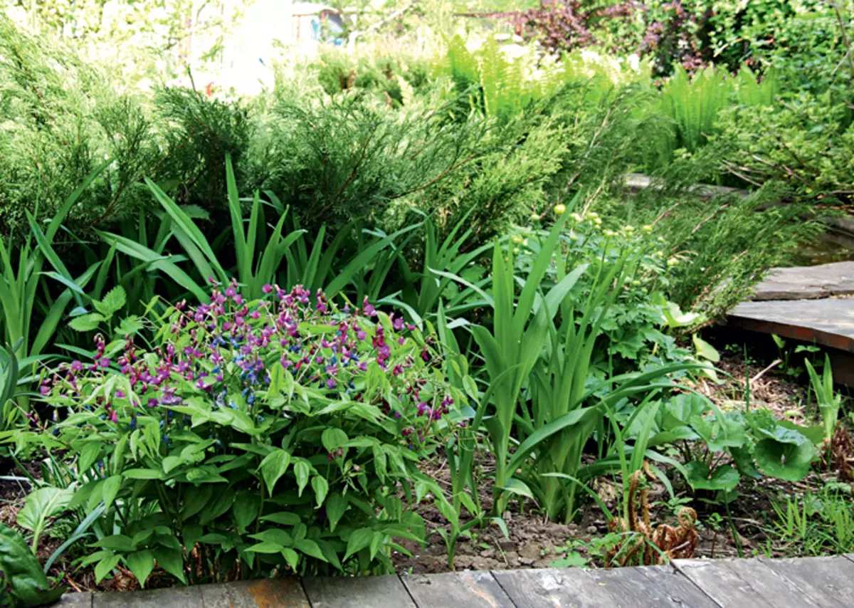 From fashion Up to step: garden design trends
