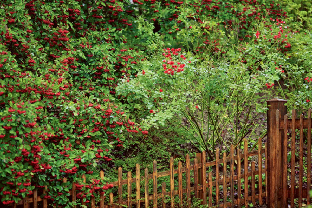 Privaat deurlopende blomtuin in Frankryk