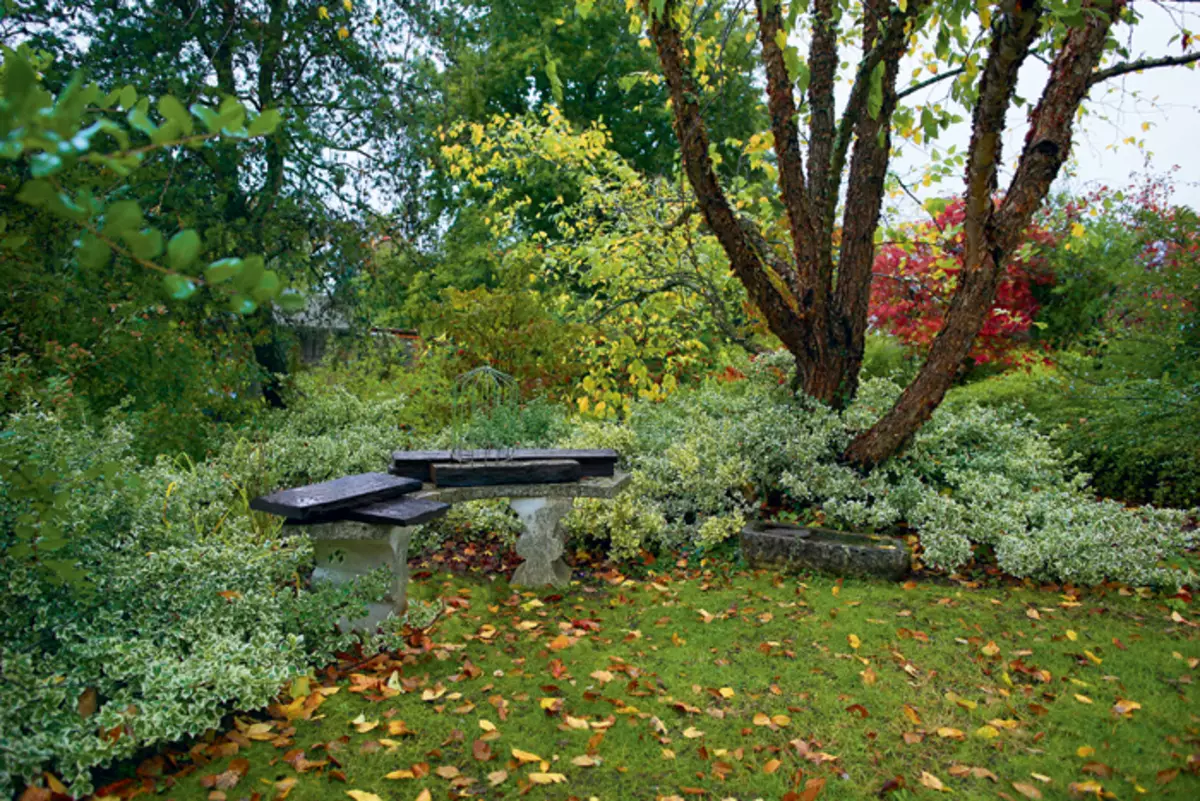 Jardí de floració contínua privada a França