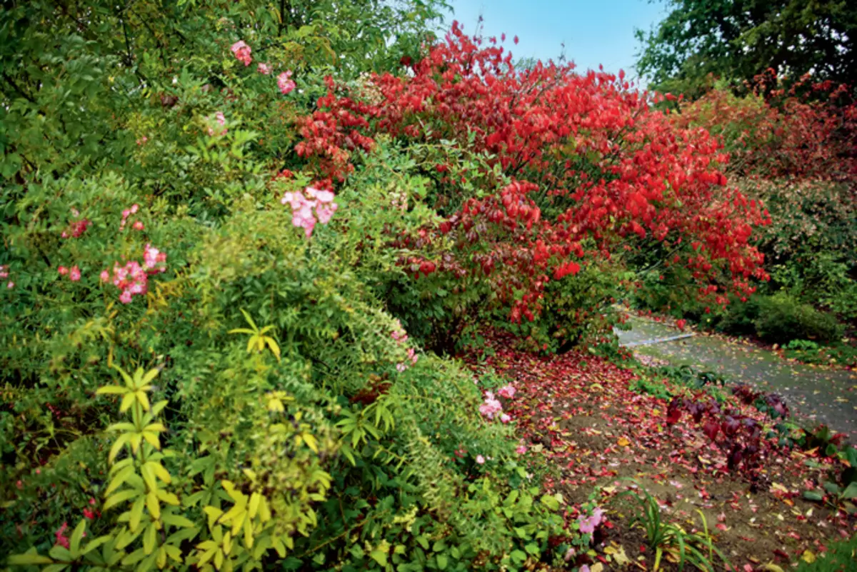 Jardín floral continuo privado en Francia