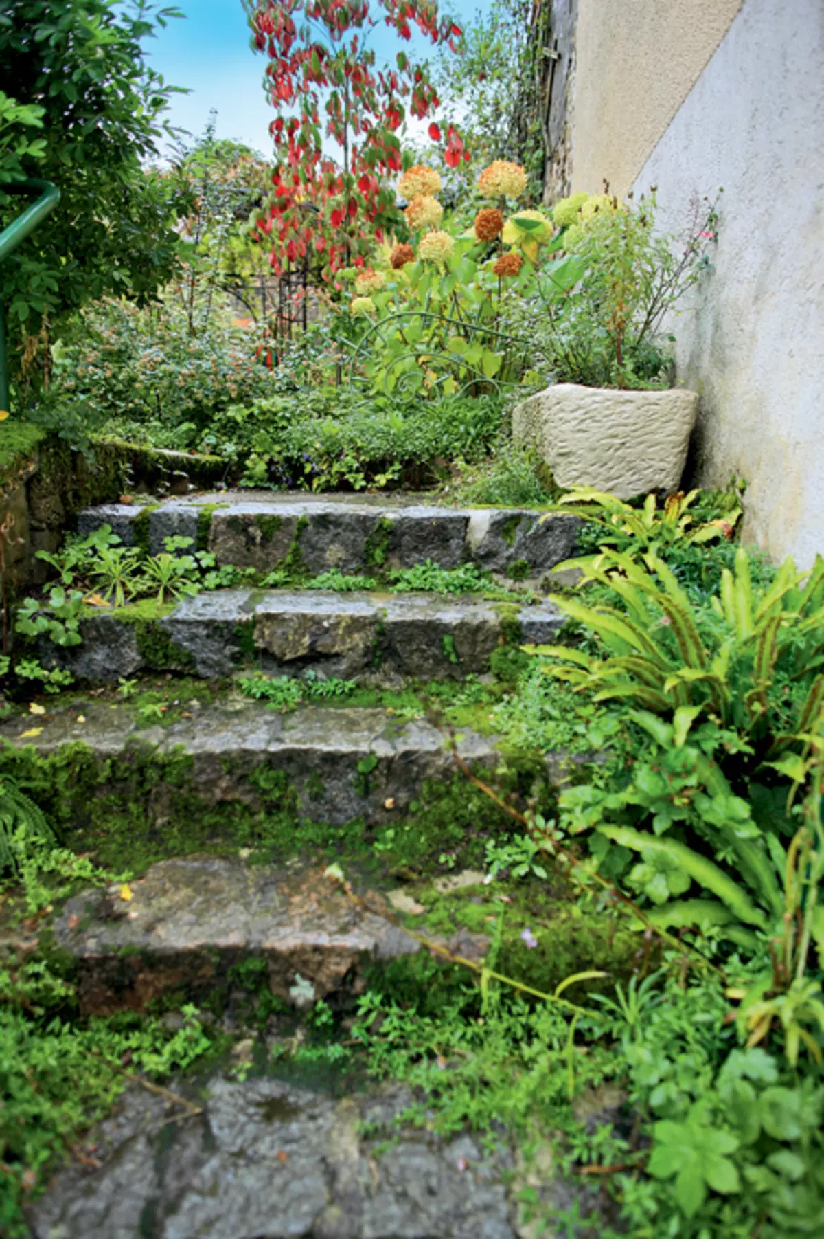 Jardí de floració contínua privada a França