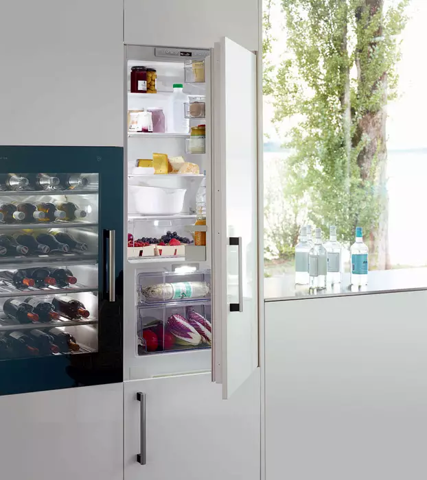Hladna izbira: pregled glavnih značilnosti hladilnikov