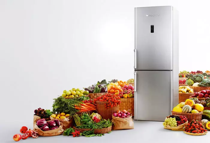 Zgjedhja e ftohtë: Përmbledhje e karakteristikave kryesore të frigoriferëve