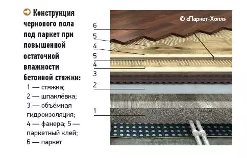 Жашырылган негиздер