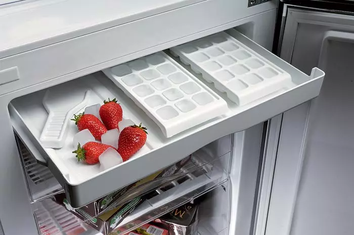 Šaltojo žodynas: šaldytuvo pasirinkimas