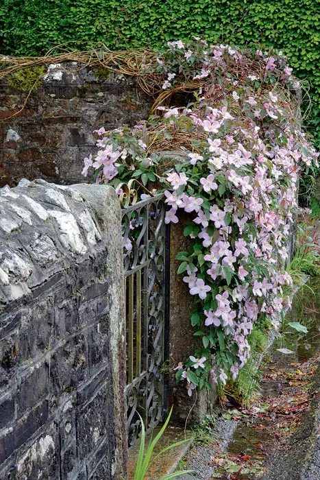 Garden Border Guards