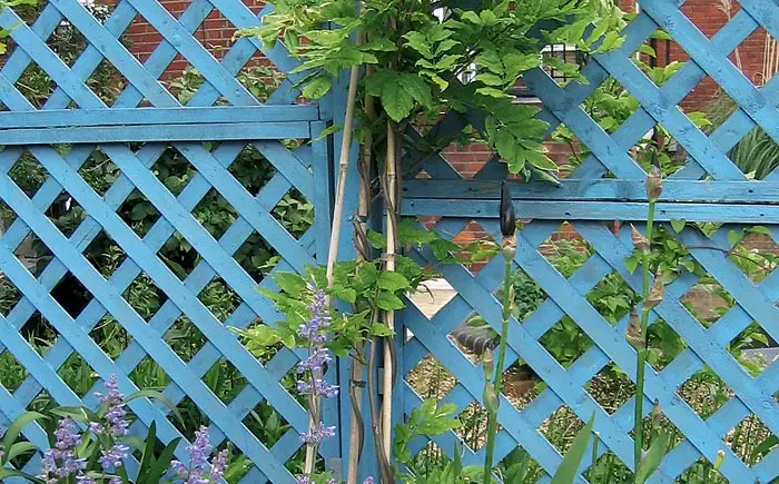 Garden Border-gardistoj