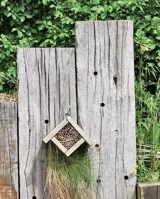 Gwarchodwyr Border Garden