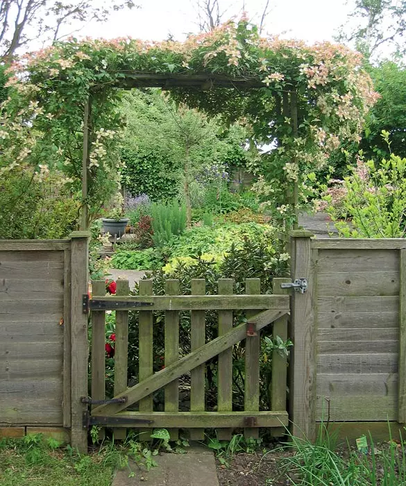 Garden Border Guards