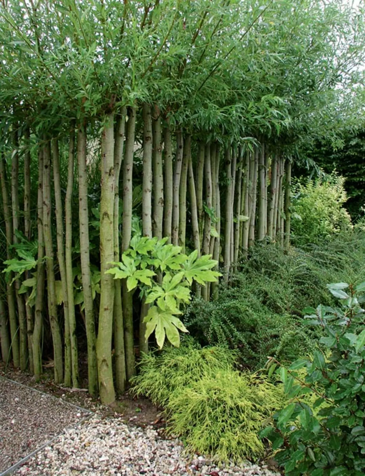 Garden Border Guards