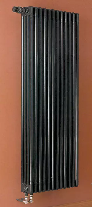 Ama-radiators amasha: efudumele phansi