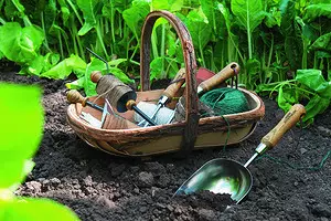 Préparation du printemps: Conseils pour choisir des outils et des plantes 12528_1