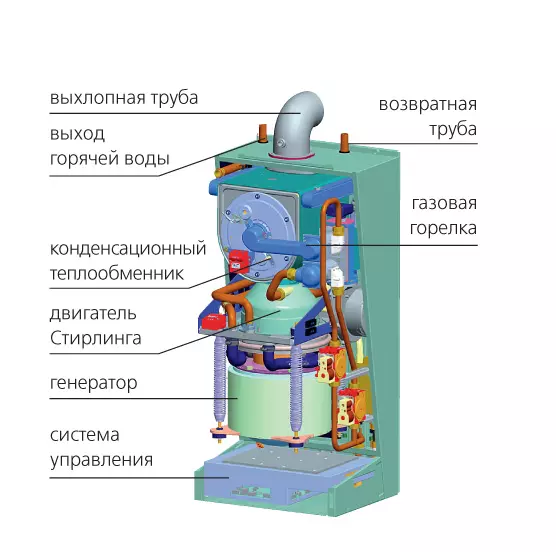 Xem của eckerday