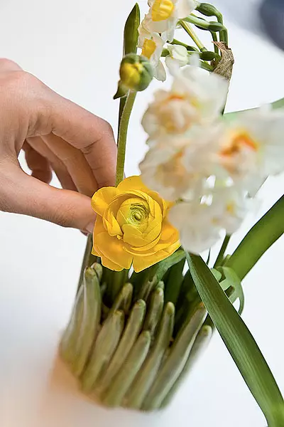 Calabura floral