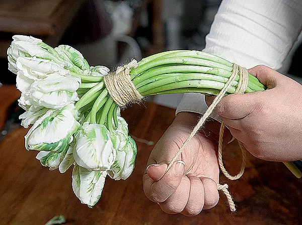 Spring untuk nenek (Baca versi penuh artikel)