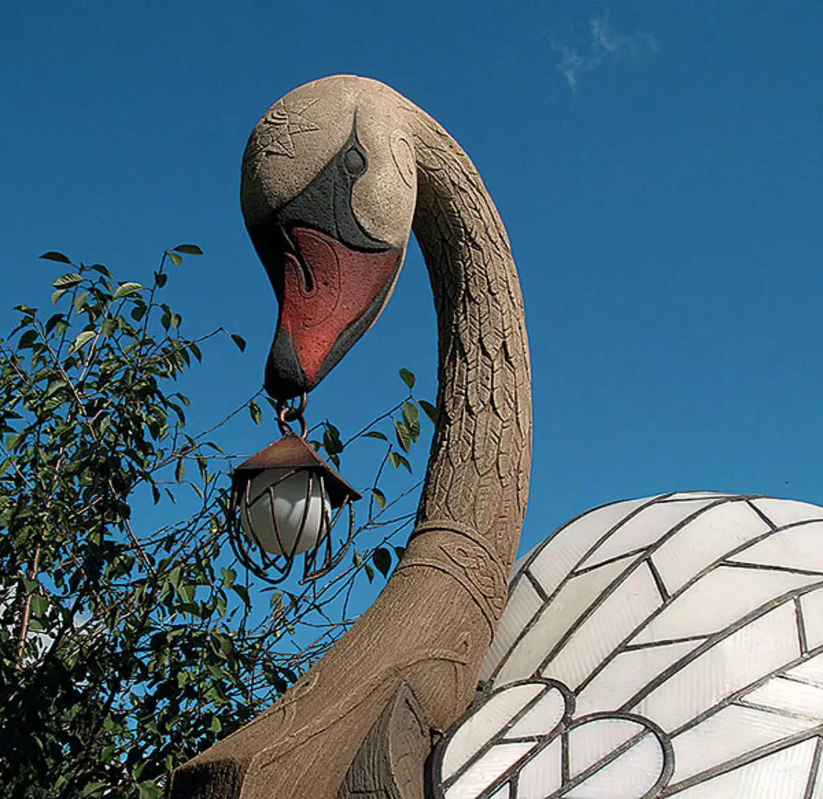 Cisne, Locomotora de osos y vapor.