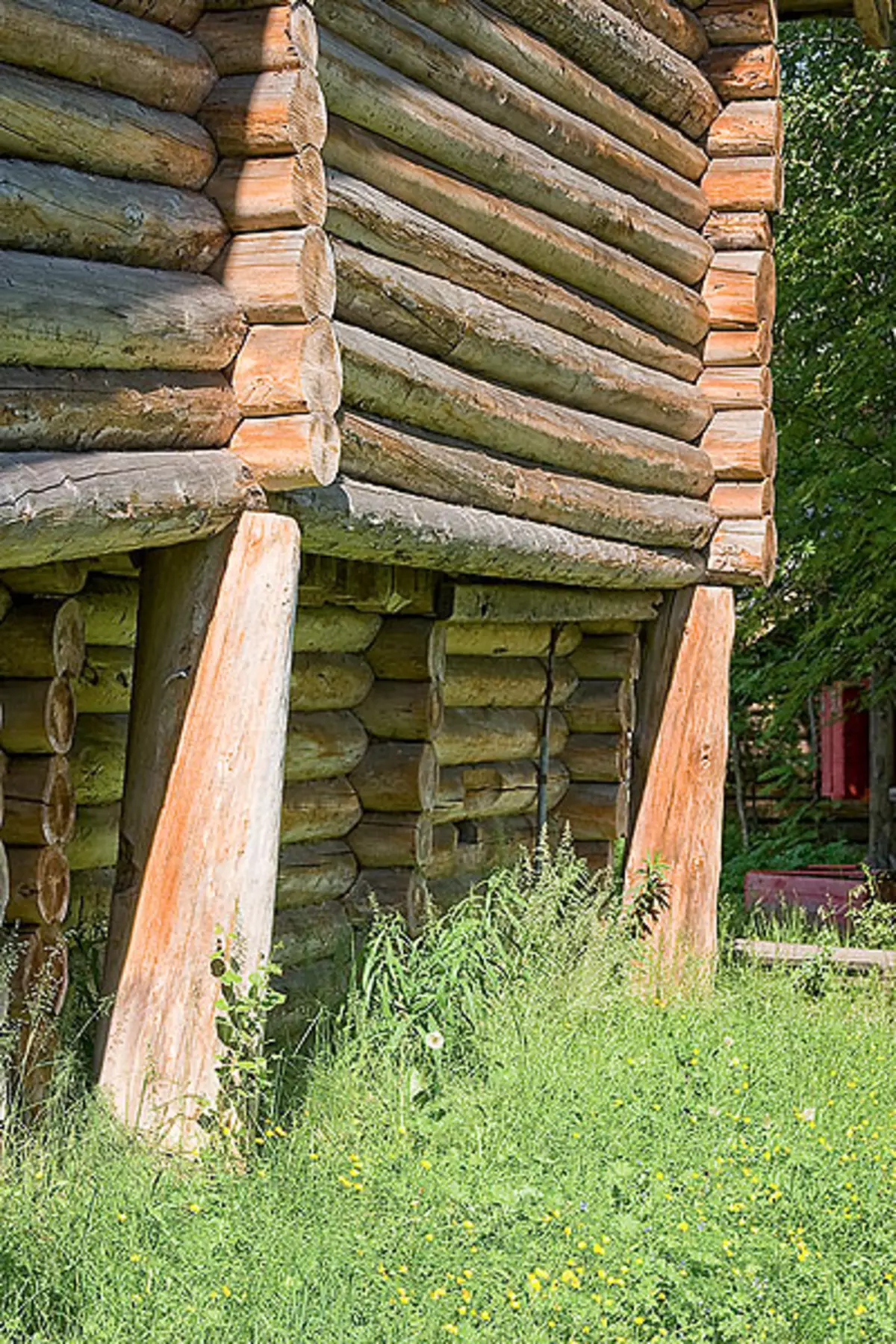 Groeiende huis