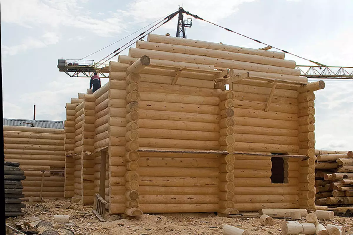 Voglio una casa tritata!