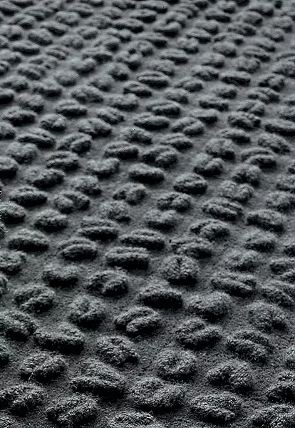 Carpet jirritorna