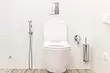 Hvordan man vælger og korrekt installeres hygiejnisk brusebad til toilet