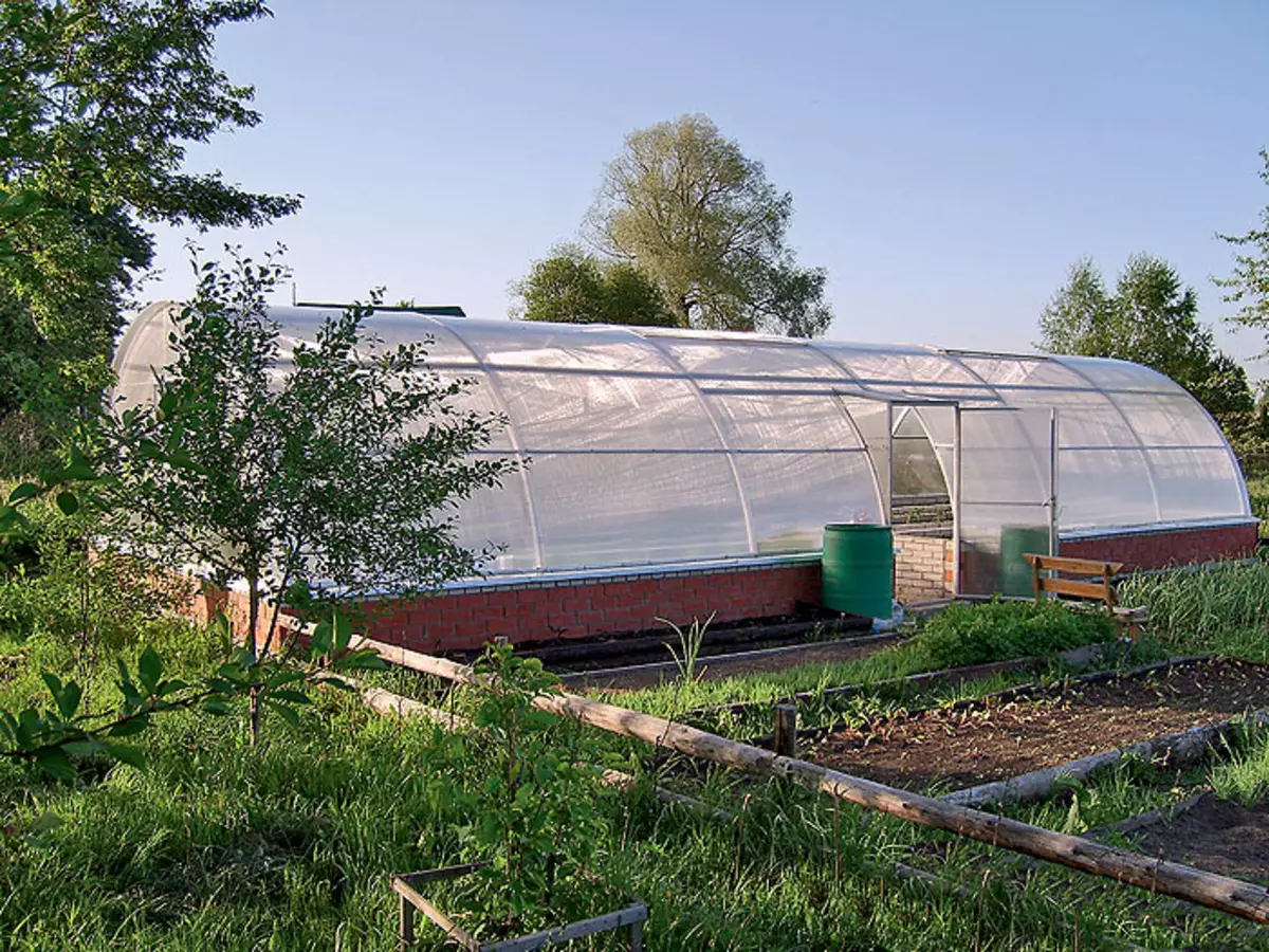 Mga kondisyon ng greenhouse