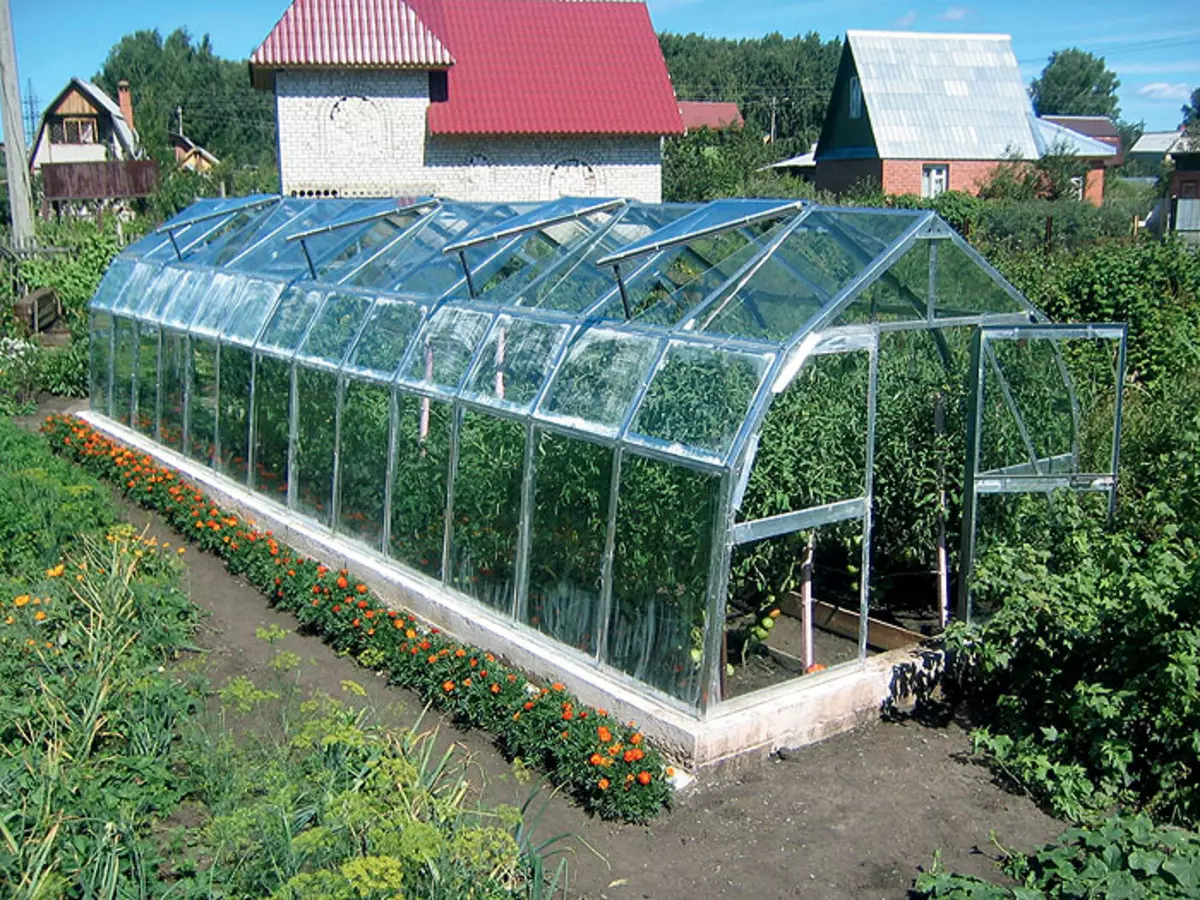 Mga kondisyon ng greenhouse
