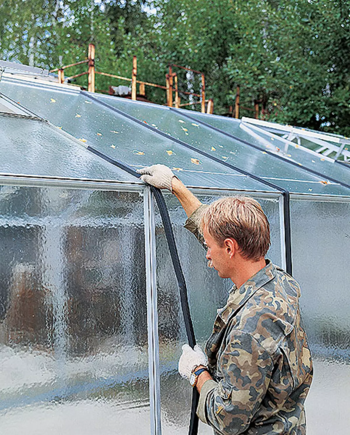 Greenhouse conditions