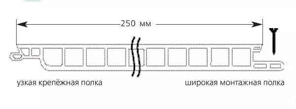 Rapid și curat