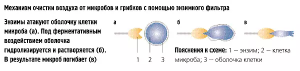 Свіжістю повіяло ...