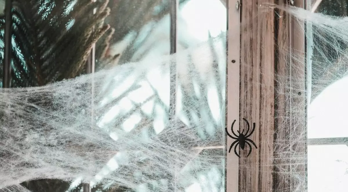 집안에서 거미를 없애는 방법 : 효과적인 민속 및 상점 장비
