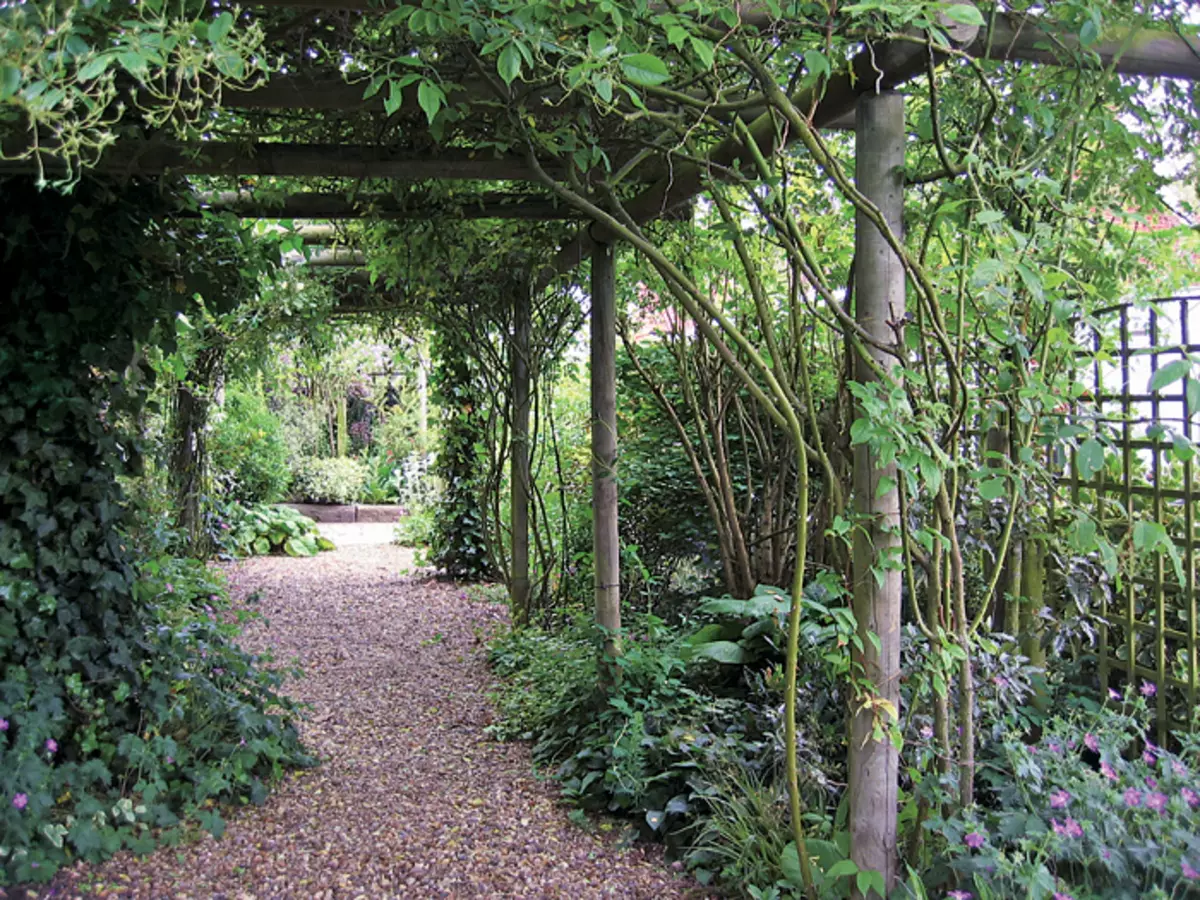 OpenWork Corridors.