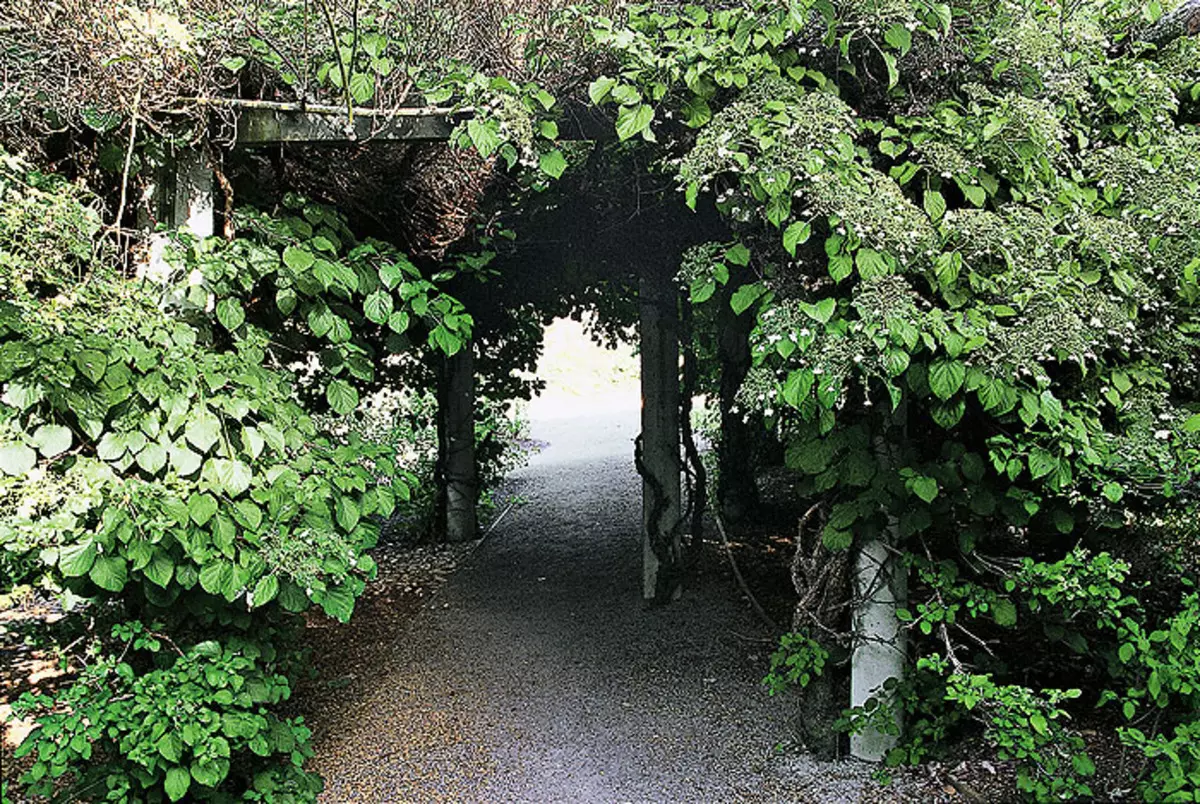 Openwork corridors