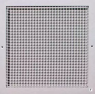 Tazelik atmosferinde