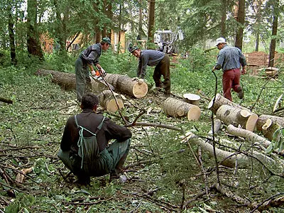 Ата-бабалардың келісімшарттары туралы