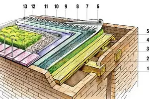 टर्टोलस लॉन (त्यांचे घर क्रमांक 5 2006 पी .86) 13421_1