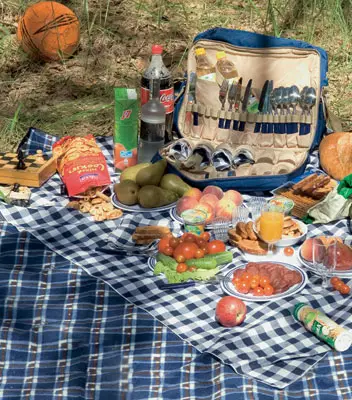 ¡Todo en el picnic!