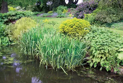 Giardini d'acqua