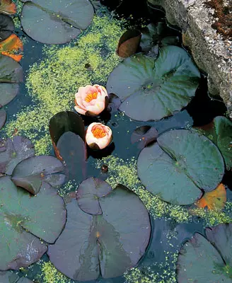 Jardines de agua