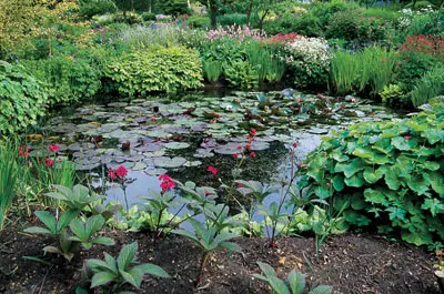 Water Gardens.