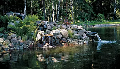 Naturharden í úthverfum skóginum